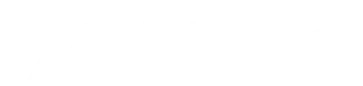 NetSpace Logo
